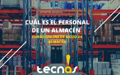 Cuál es el personal de un almacén|Curso Online de Mozo de Almacén